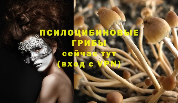 прущий лед Алзамай