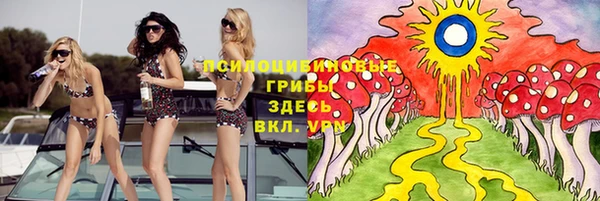 дмт Покровск